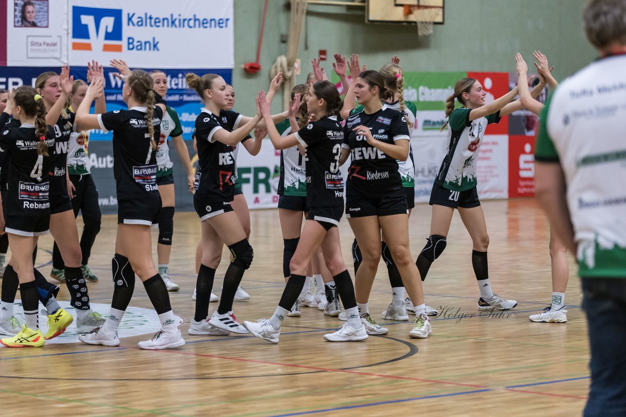 Bild 256 - wBJ SV Henstedt Ulzburg - TuRa Meldorf : Ergebnis: 22:38